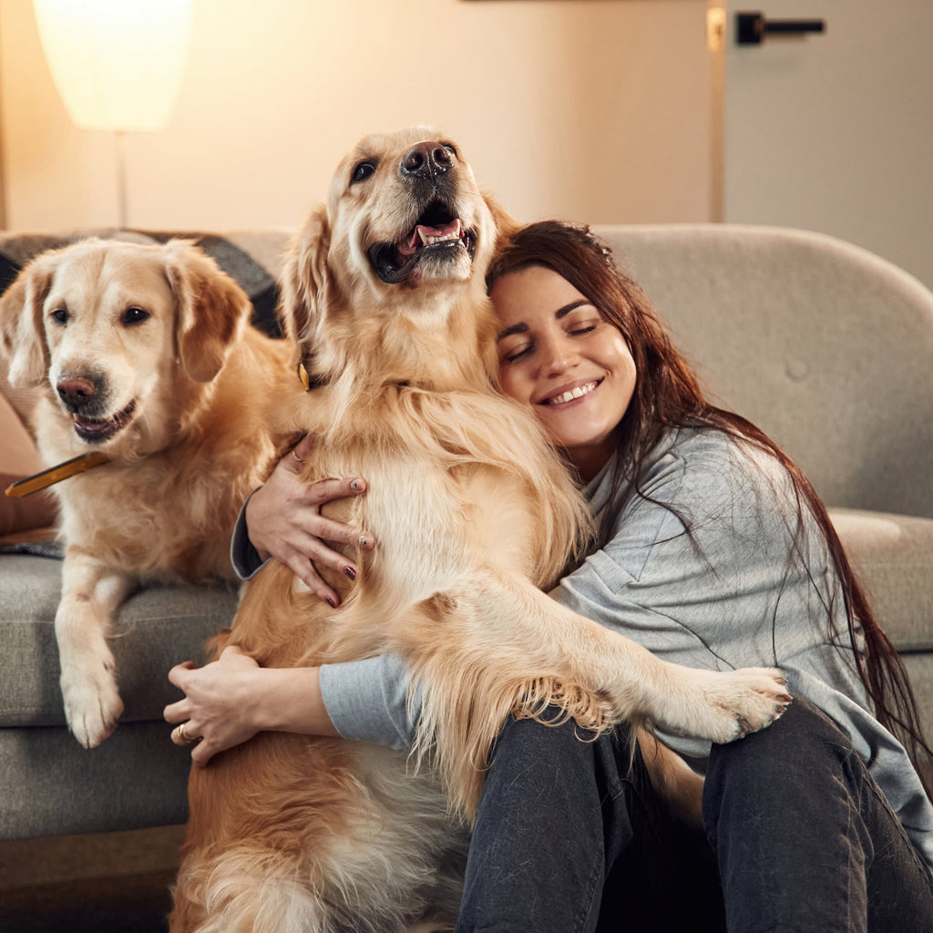 Köpekler ve İnsanlar