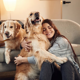 Köpekler ve İnsanlar