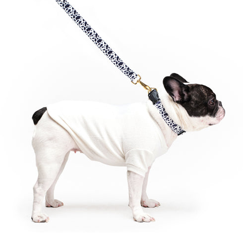 FEDELTA | Boyun Tasması