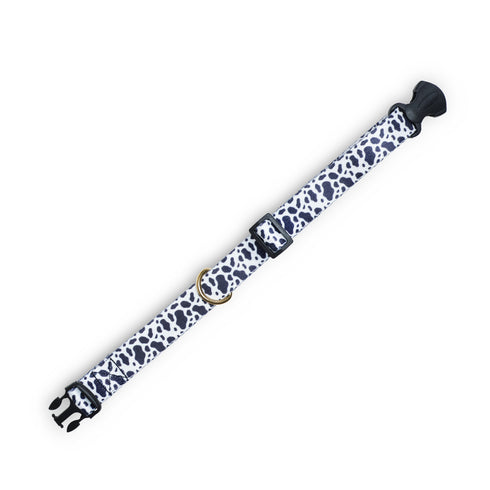 FEDELTA | Boyun Tasması