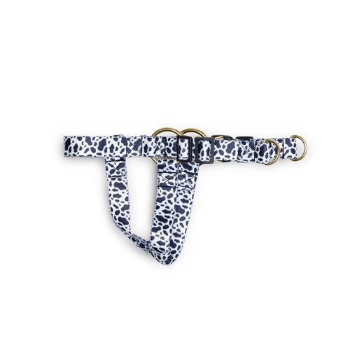 FEDELTA | Göğüs Tasması