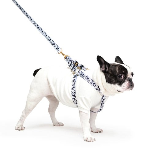 FEDELTA | Göğüs Tasması