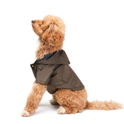 FONTE BRANDA GREEN | Yağmurluk