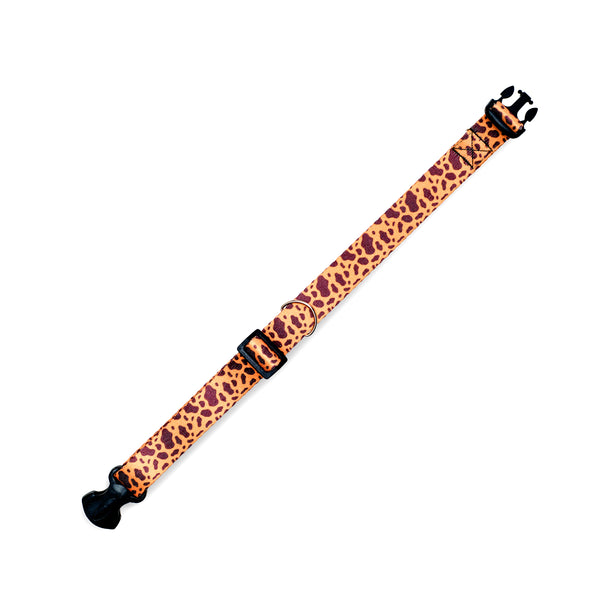 FUDICIA | Boyun Tasması