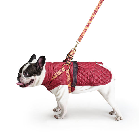 MAZZINI | Koşu Takımı